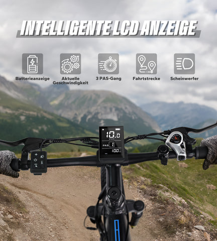 Fat Tire E-Mountainbike Pedelec Vélo électrique tout terrain à suspension complète 90 Nm Batterie amovible longue portée - Varun Ballistic 26'' E-Bike